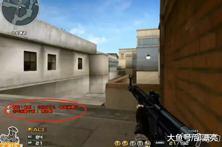 kamyk 替换 RobbieBk 在 Gentle Mates 阵容